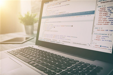 利于網(wǎng)站快速排名的六種適用性要領。