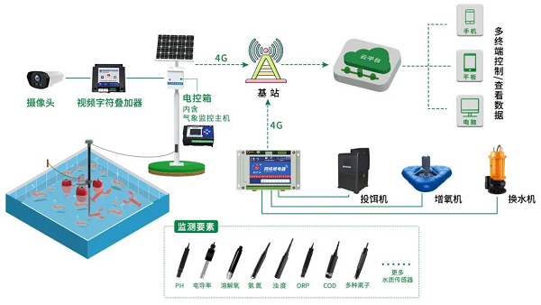貫徹落實中央一號文件，“我”可以扮演哪些角色？(圖6)