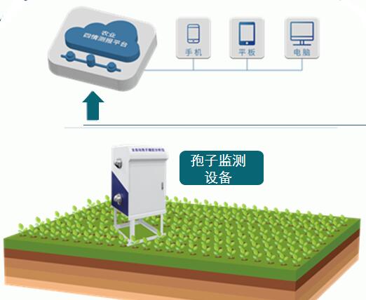 智能孢子遠程監測系統(圖4)