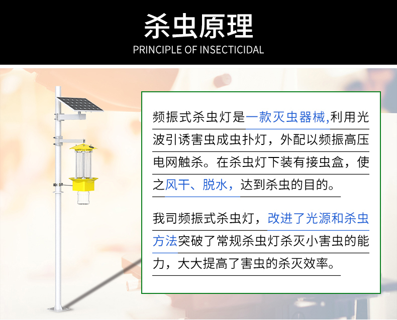 頻震式殺蟲(chóng)燈(圖5)