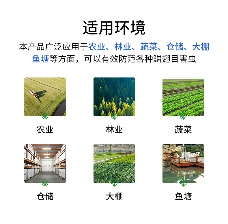 頻震式殺蟲(chóng)燈(圖13)