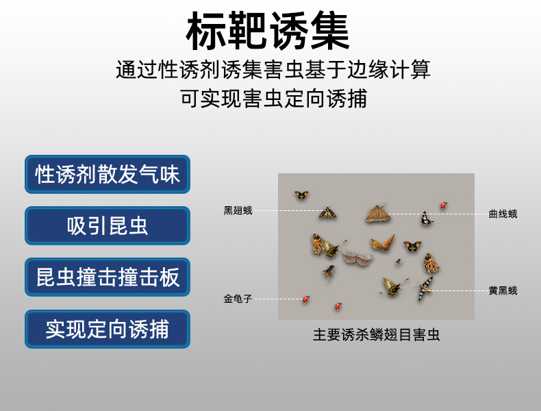 標(biāo)靶蟲情監(jiān)測(cè)(圖11)