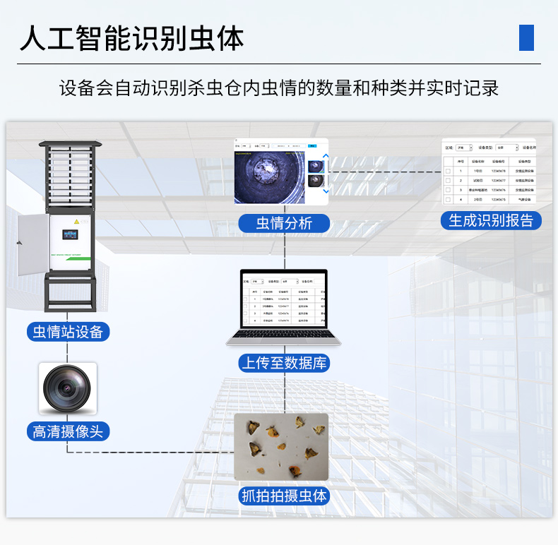 蟲情測報站(圖11)